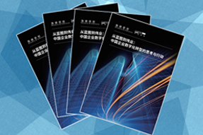 《从蓝图到伟业：中国企业数字化转型的思考与行动》