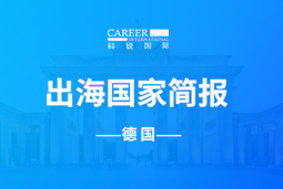 龙8头号玩家国际GO GLOBAL | 德国国家简报