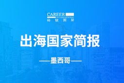 龙8头号玩家国际GO GLOBAL | 墨西哥国家简报