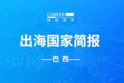 龙8头号玩家国际GO GLOBAL | 巴西国家简报